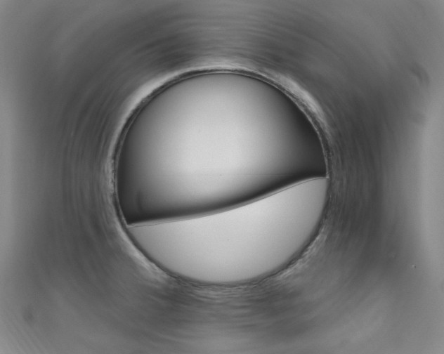 X0000111641380200907171029