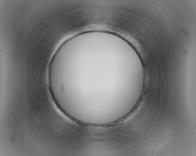 X0000111641382200907171029