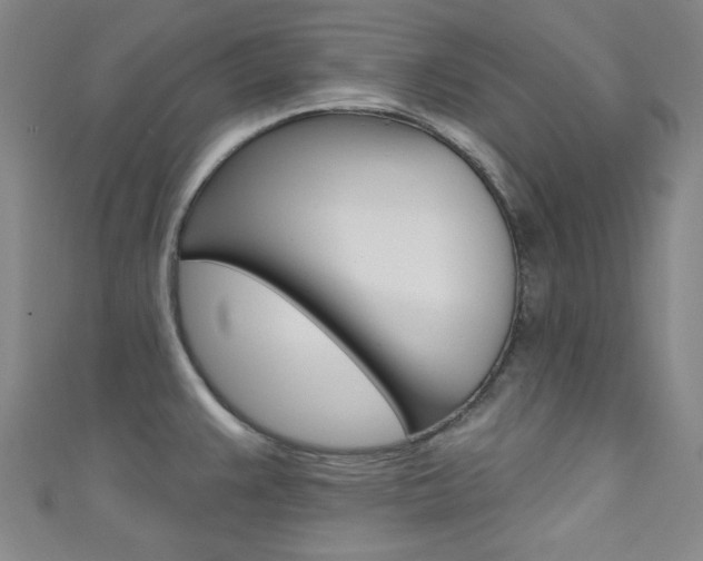 X0000111641383200907171029