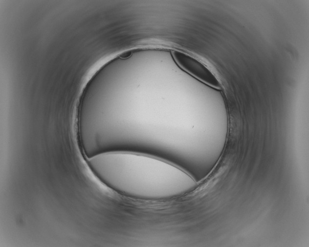 X0000111641387200907171029
