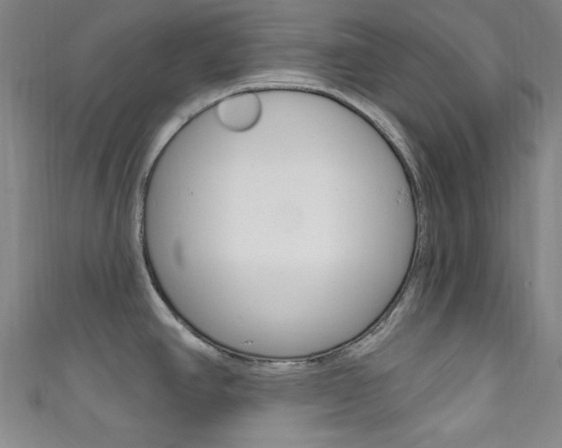 X0000111641390200907171029