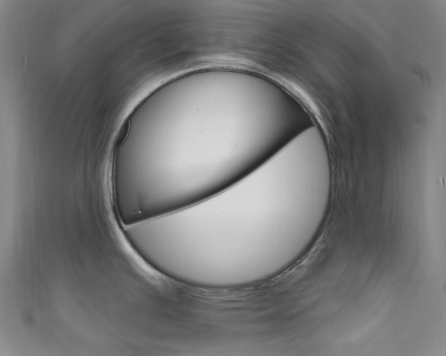 X0000111641391200907171029