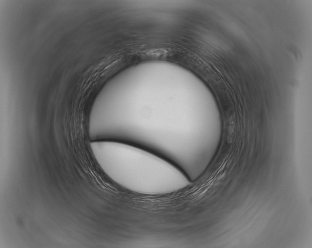 X0000111641394200907171028