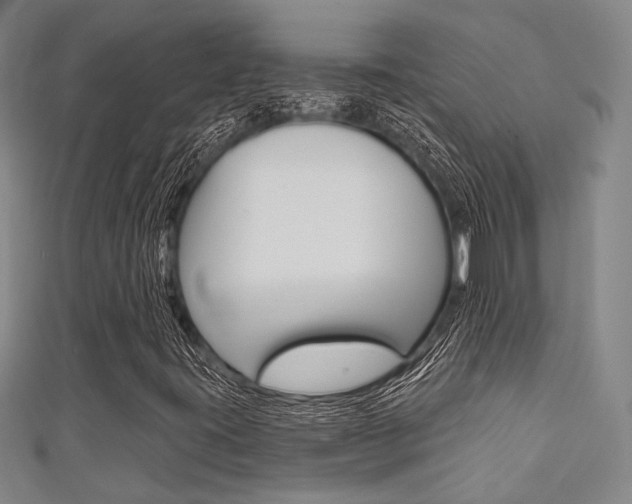 X0000111641395200907171028