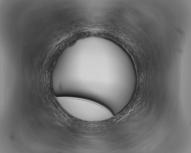 X0000111641398200907171028