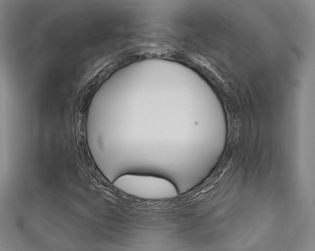 X0000111641399200907171029