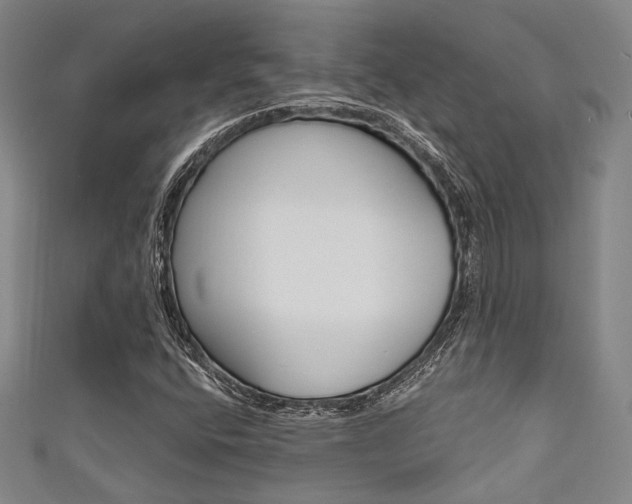 X0000111641400200907171029