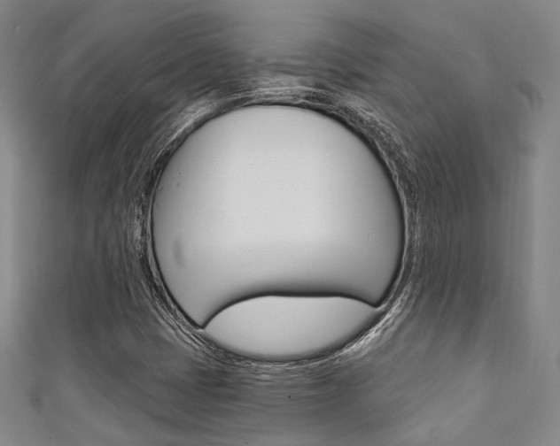 X0000111641401200907171029