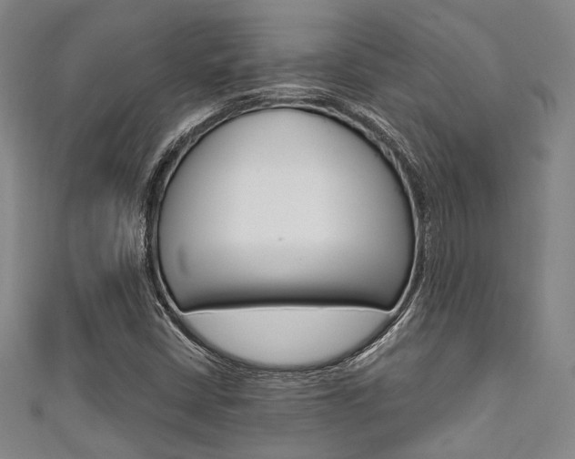 X0000111641402200907171029