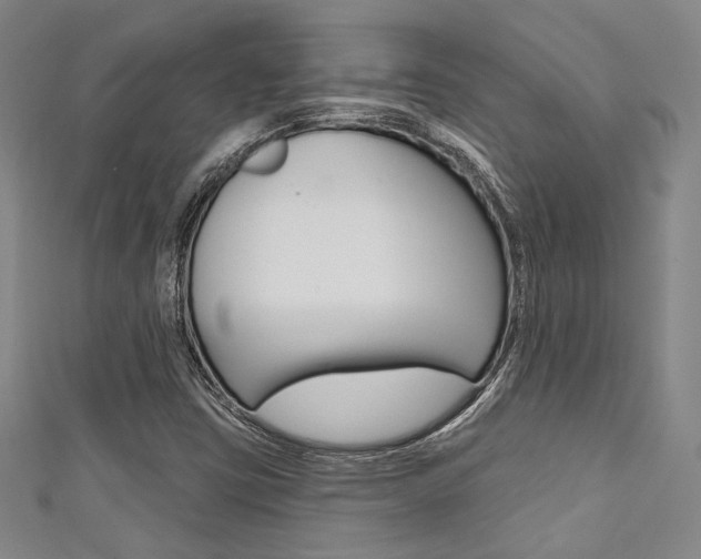X0000111641403200907171029