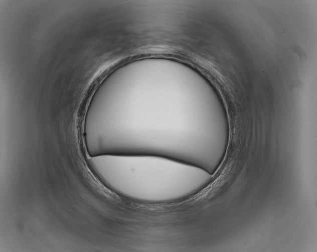 X0000111641404200907171029