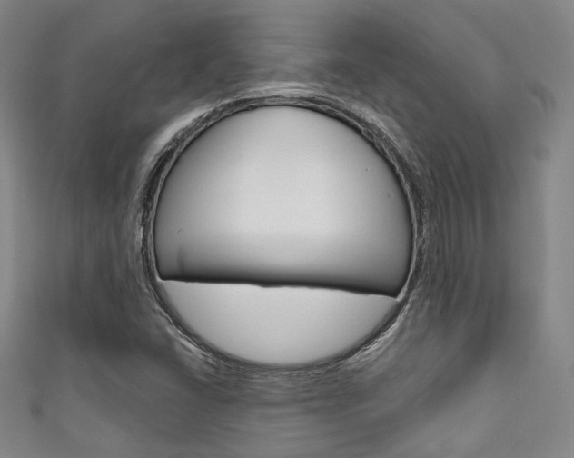 X0000111641406200907171029