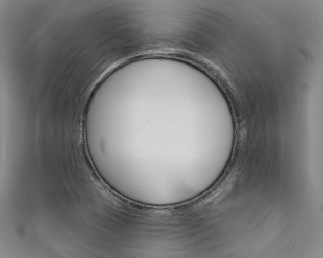 X0000111641409200907171029