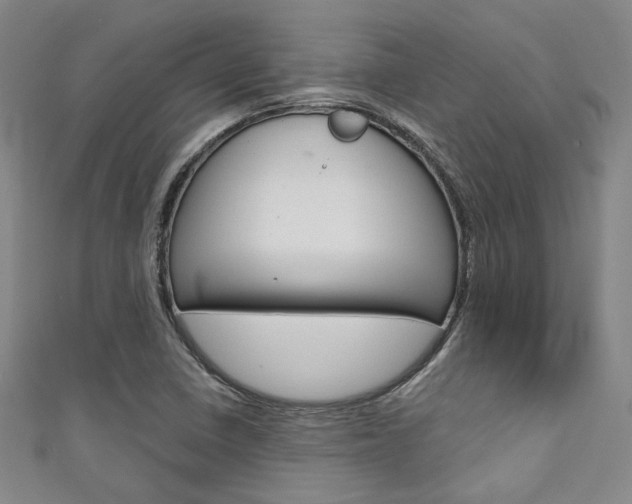 X0000111641410200907171029