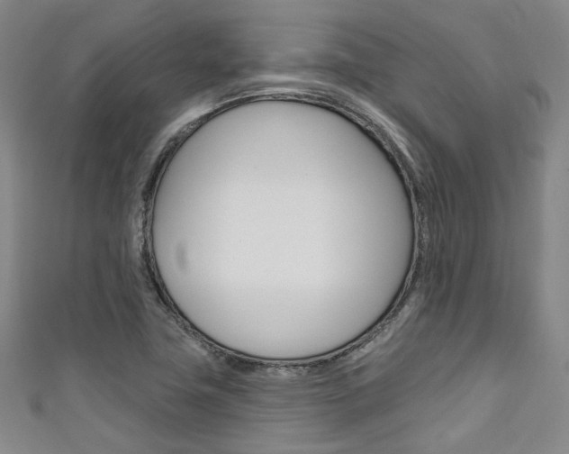 X0000111641411200907171029