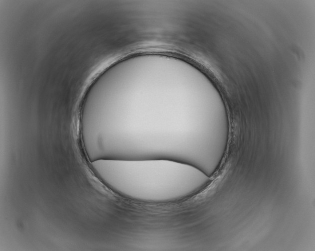 X0000111641413200907171029