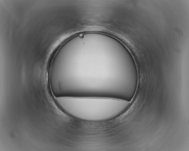 X0000111641414200907171029
