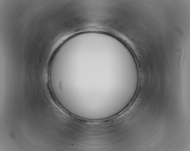 X0000111641415200907171029