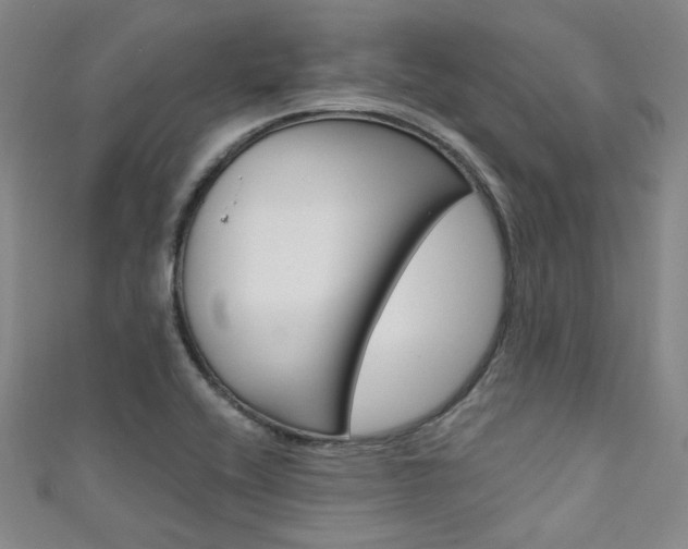 X0000111641416200907171029