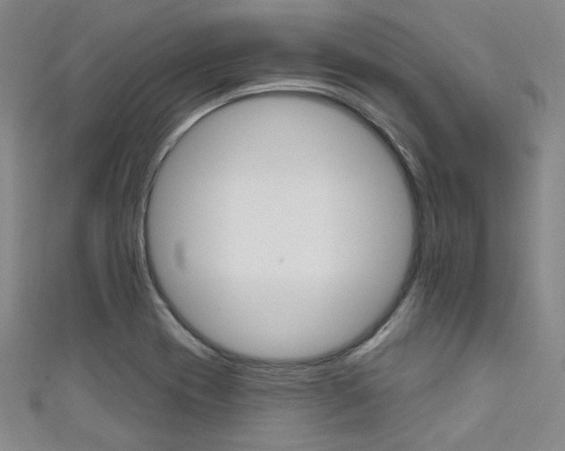 X0000111641417200907171029