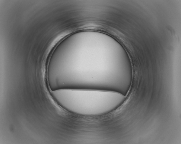 X0000111641418200907171029