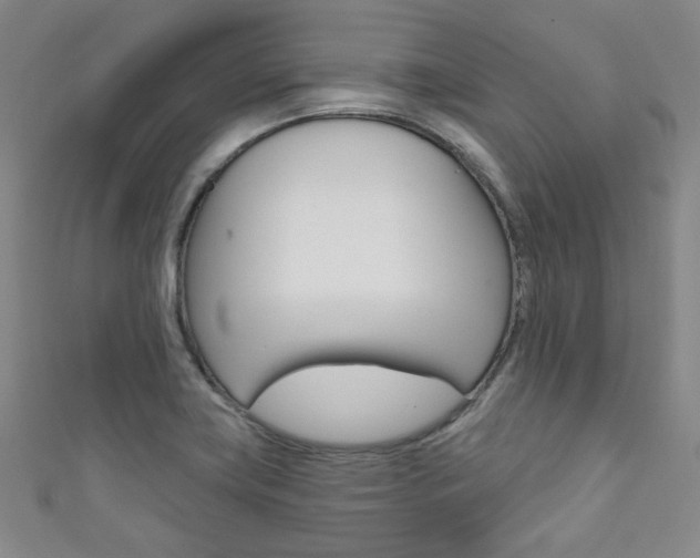 X0000111641419200907171029