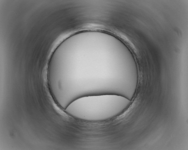 X0000111641421200907171029