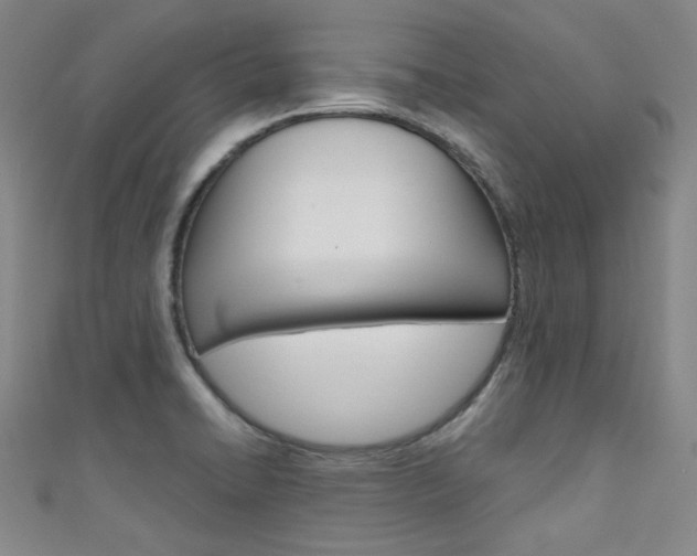 X0000111641422200907171029