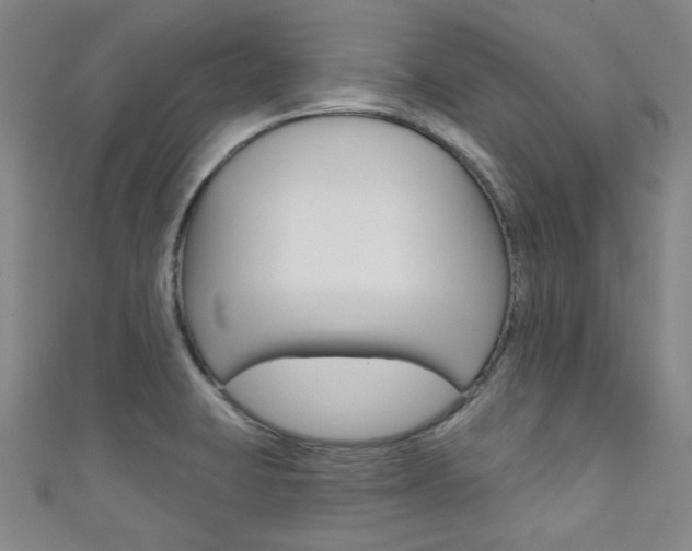 X0000111641423200907171029
