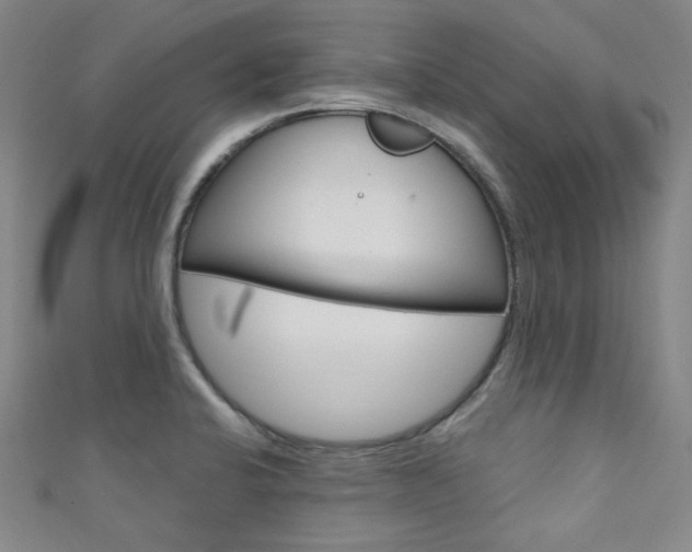 X0000111641424200907171029