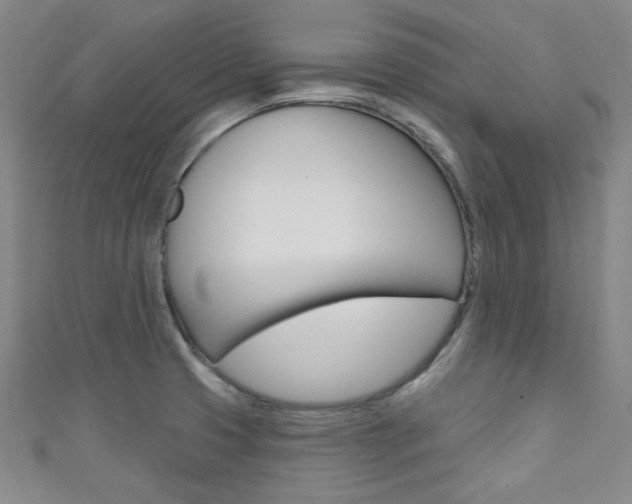 X0000111641425200907171029