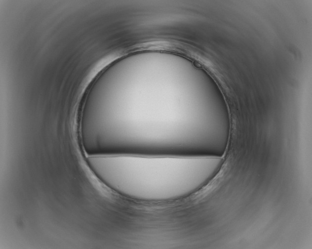 X0000111641426200907171029