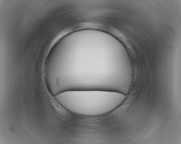 X0000111641427200907171029