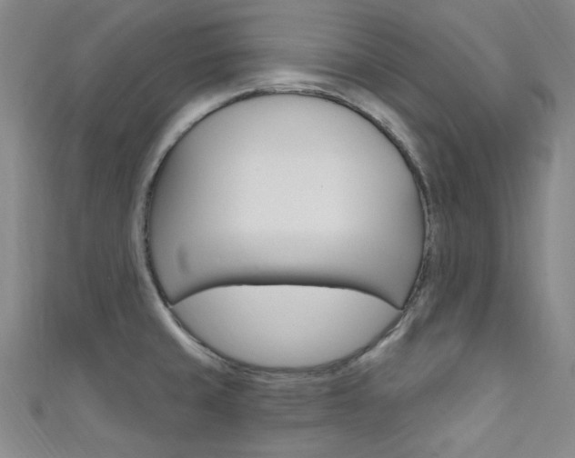 X0000111641429200907171029