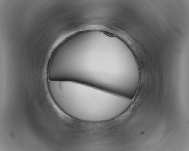 X0000111641430200907171029