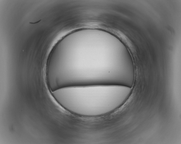 X0000111641432200907171029