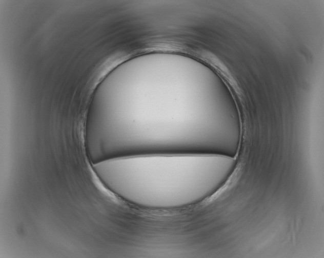 X0000111641433200907171029