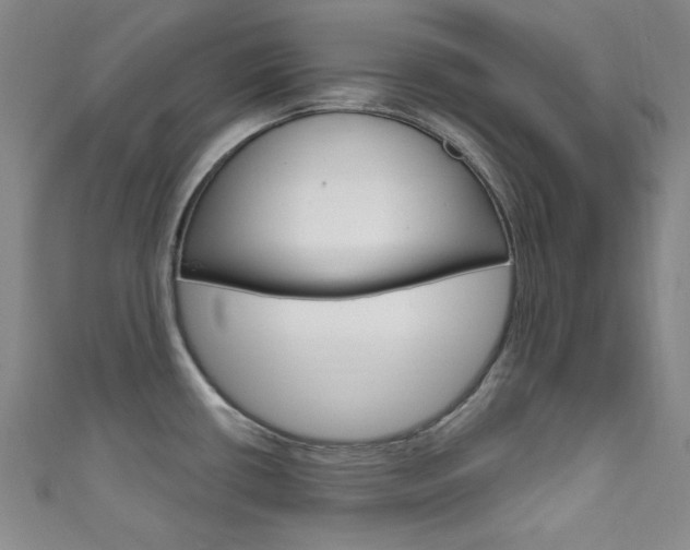 X0000111641434200907171029