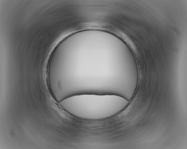 X0000111641435200907171029