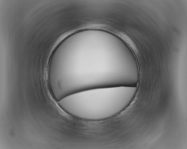 X0000111641436200907171029