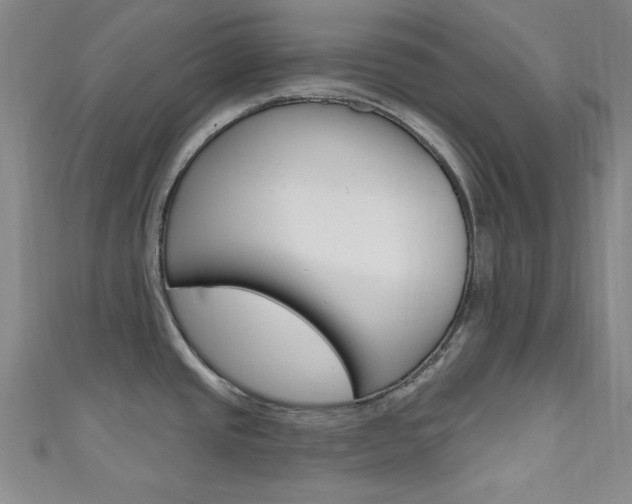X0000111641437200907171029