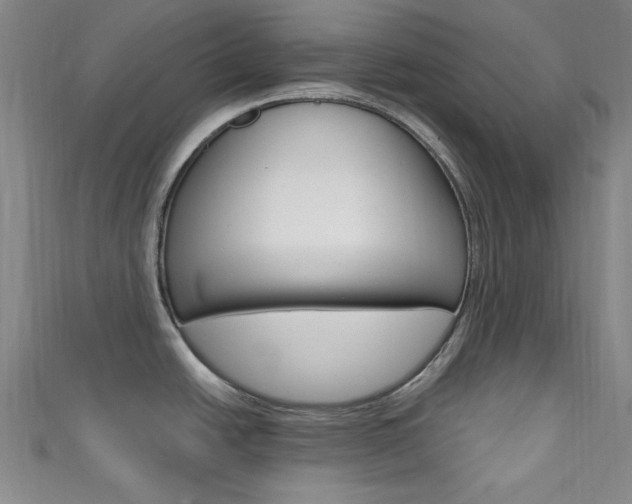 X0000111641438200907171029