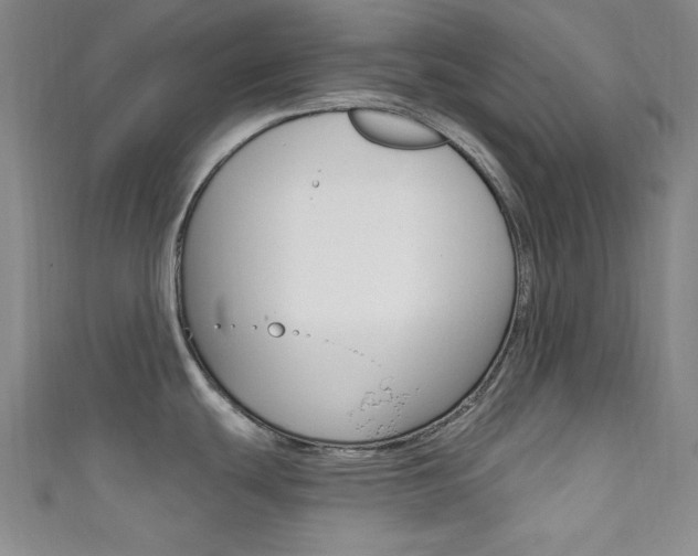 X0000111641439200907171029