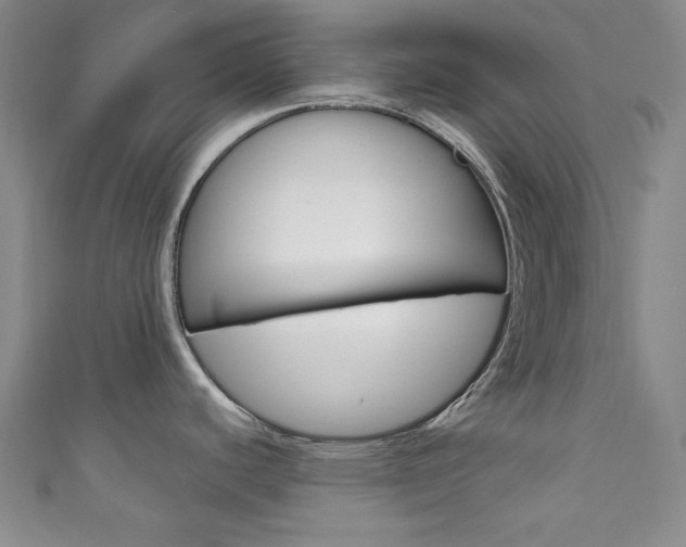 X0000111641440200907171029