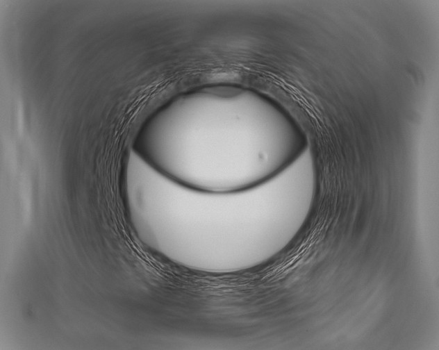 X0000111641441200907171028