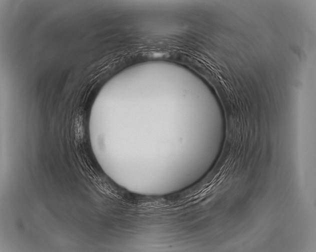 X0000111641442200907171028