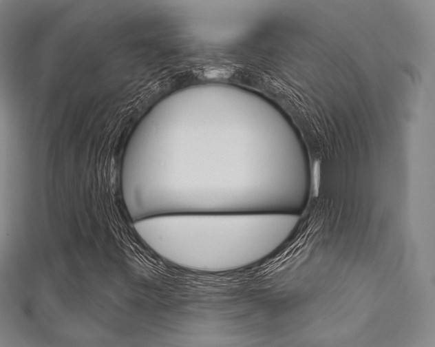 X0000111641443200907171028