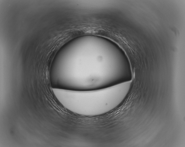 X0000111641444200907171028
