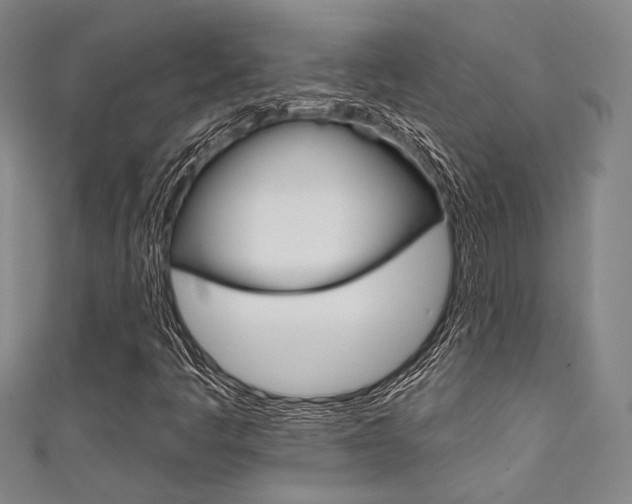 X0000111641445200907171028