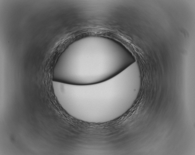 X0000111641447200907171028